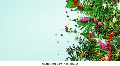 Ingredients Of Herbal Alternative Medicine, Holistic And Naturopathy Approach On Blue Background. Herbs, Flowers For Herbal Tea. Top View, Copy Space, Flat Lay.