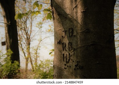 Initials Carved Into A Tree