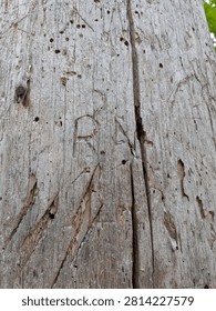 Initials carved into the trunk of a tree