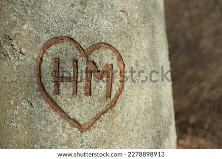   Initials of unknown lovers in the bark of a tree                             