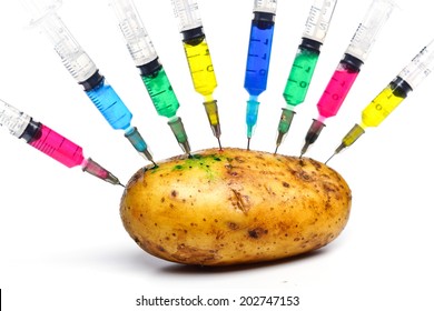 Injecting Chemical Into Gmo Potato - Gmo Food