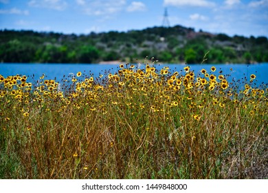 Imagenes Fotos De Stock Y Vectores Sobre Texas River Shutterstock