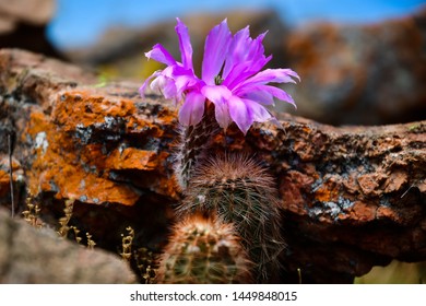 Imagenes Fotos De Stock Y Vectores Sobre Texas River Shutterstock