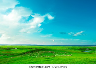 Inner Mongolia Hulunbeier Sino Russian Border Line Grassland Scenery