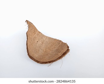 Inner Surface of Split Coconut Shell Showing Fibrous Texture