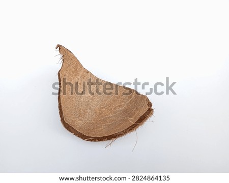 Inner Surface of Split Coconut Shell Showing Fibrous Texture