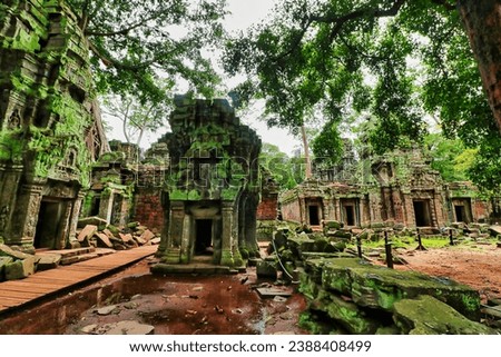 Inner view of Ta Phrom - Iconic 12th century Angkor Khmer Temple with Tree roots intertwined with the temple structure, famous for Tomb Raider movie featuring Angeline Jolie at Siem Reap, Cambodia