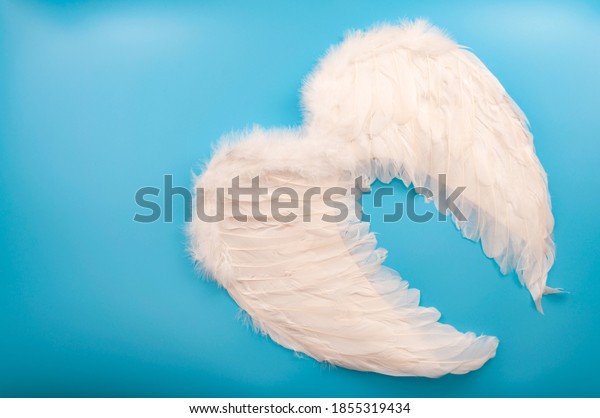 Innocence and purity,\
Christian mythology and innocent celestial creatures concept with\
guardian angel wings made of white feathers isolated on blue\
background with copy\
space