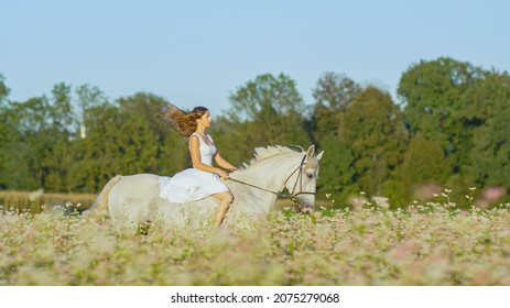 Innocent Young Woman Riding White Horse In Pink Flowering Field