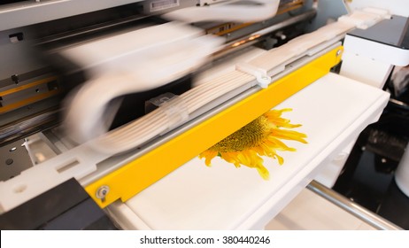 Innovation shirt and textile printer machine.