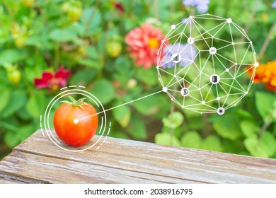 Innovation smart agriculture farm system. Use artificial intelligence by agronomist, farmer to help in product analysis, quality assessment, making statistics, income statements in the farm business.
