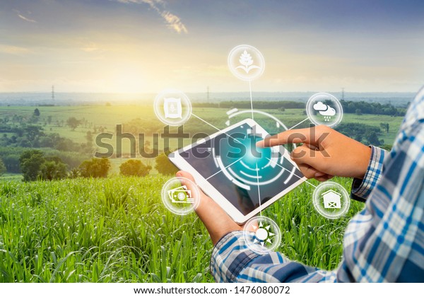 Innovation Technology Smart Farm System Agriculture Stock Photo (Edit