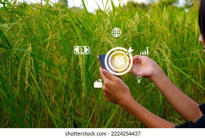 Innovative Smart Farm System Technology, Agricultural Management Mobile smartphone with smart technology concept, to store data for study. - Shutterstock ID 2224254437