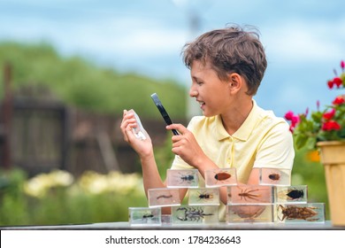 inquisitive elementary school boy studies beetle through magnifying glass in outdoor Park. examines insects in classroom with magnifying glass. Research, thirst for new knowledge. Back to school.