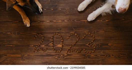 Inscription 2023 Dry Dog Food And Two German And Australian Shepherds Lie Side By Side. Original Creative Christmas Layout For Pet Store. Dogs Waiting For Food. Top View.