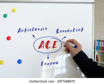 The Inscription ACE Angiotensin Converting Enzyme . Male Hand With Marker Write On The White Board.
