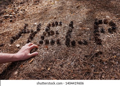 Inscription Help In The Woods, Man Lost