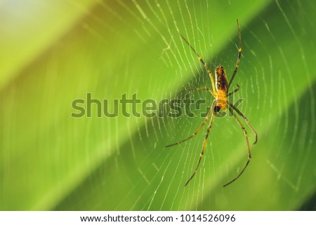 Similar – thorn finger Colour photo