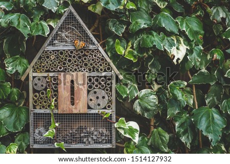 An insect / bug hotel hung on an ivy covered wall in an English country garden. A painted lady butterfly is resting on the wooden front.