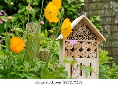 An insect hotel or bee hotel in a summer garden. An insect hotel is a manmade structure created to provide shelter for insects in a variety of shapes and sizes and materials. 