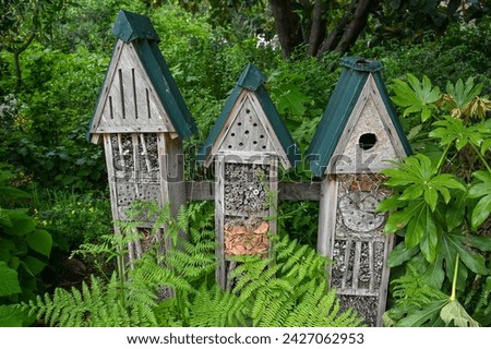 Insect hotel. Bug hotel in nature. Shelter for insects in park. Insect house. 