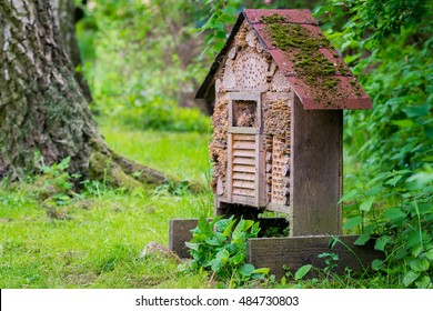 A Insect Hotel In Nature