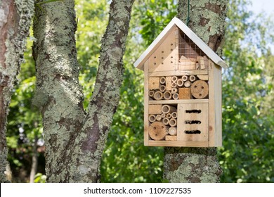 Insect House In A Summer Garden Hotel For Insects