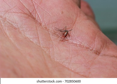 stock images similar to id 108133865 stitches on arm after similar images stock photos vectors of stitches on arm after skin 108133865 stock images similar to id 108133865 stitches on arm after similar images stock photos vectors of stitches on arm after skin 108133865