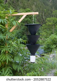 Insect Traps In The Forest. Cages Placed In Nature For Scientific Research.