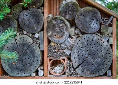 Insects House, Holes In The Wood In Which Insects Live. Artificially Created House For Insects