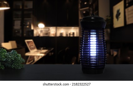 an insects mosquito electric blue light killer lamp is put on the black wooden table in the dark office working room to protect the mosquito during working time - Shutterstock ID 2182322527