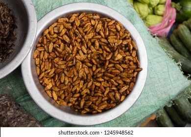 1,547 Laos insect Images, Stock Photos & Vectors | Shutterstock