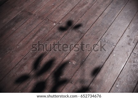 inserted abstract shadow of tree branch and leaves on wooden floor