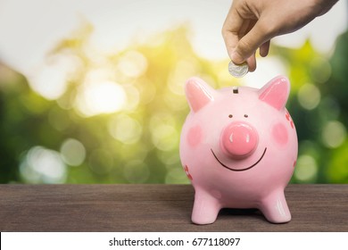 Inserting a coin into a piggy bank , Hand puts a coin in the piggy bank on nature background
