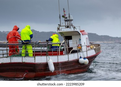 Inshore fishing sailors fish in their traditional wooden boat in the Ría de Arousa, Galicia - Shutterstock ID 2223985209