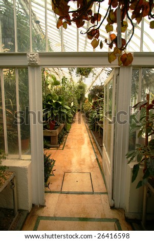 the inside of the botanical gardens belfast
