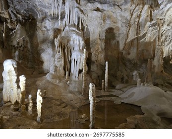Inside the cave of the bears