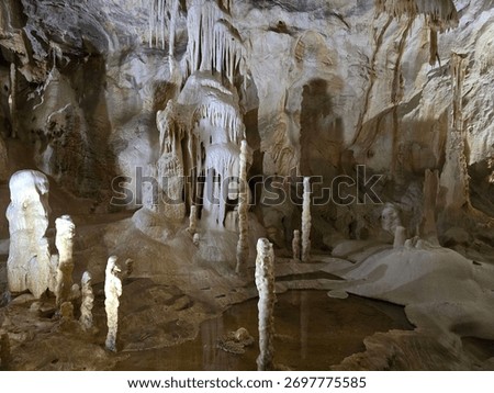 Inside the cave of the bears
