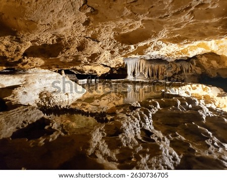 Inside the cave at Florida Caverns State Park in Marianna, Florida