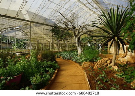 Similar – Foto Bild gartenarbeit Garten