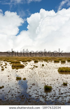 Similar – Nach der Sturmflut Nordsee