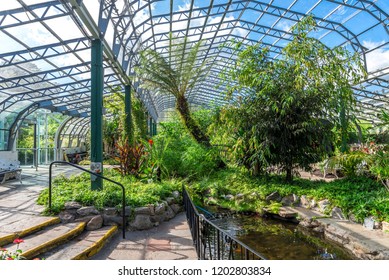 Inside Of David Welch Winter Gardens Near The Main Entrance In Duthie Park, Aberdeen, Scotland