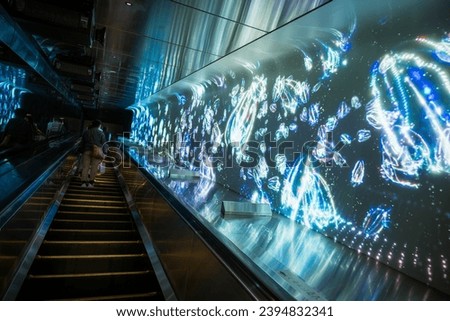 Inside the escalator, there is also a glass wall that displays the Enoshima Aquarium, where visitors can see various marine creatures such as dolphins, sea lions, jellyfish, and turtles.