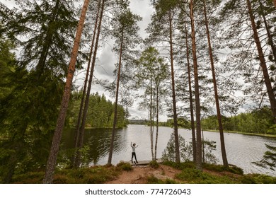 inside the forest