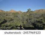 Inside Gosses Bluff crater 175 kilometres west of Alice Springs Central Australia