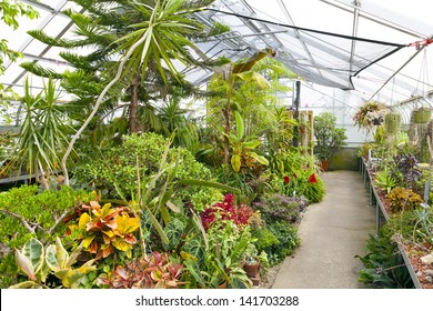 Inside Greenhouse Stock Photo 141703288 | Shutterstock