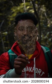 Inside a leaf. (selective focus, selective focus on object, background is blur)