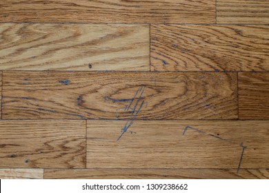 Inside The Living Room Of A House. A Parquet Floor Marked By Dust, Scratches And Dog Hair.