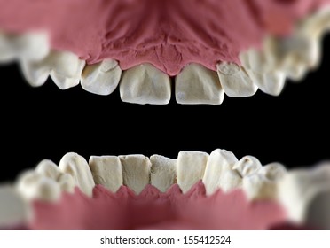 Inside Mouth