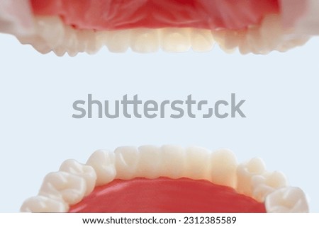 Inside mouth view. Shot from mouth patient of dentist. Concept of oral hygiene in the family